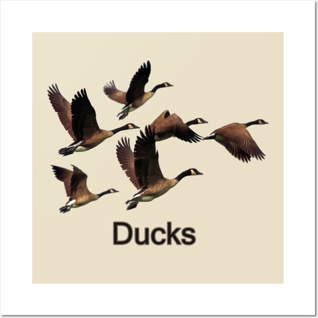 Duck Duck Goose Wall Art by jmahood